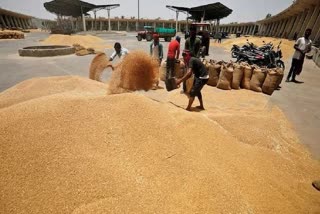 global wheat prices jump after india export ban