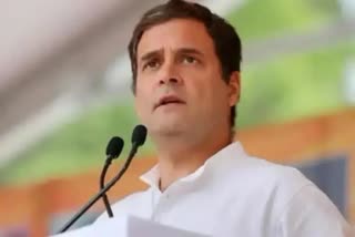 Rahul may meet Musewala's family on Tuesday