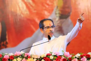 cm uddhav thackeray