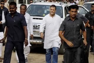 Congress leader Rahul Gandhi may visit Mansa