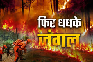 Forest fire incidents started increasing with the increase in temperature in Uttarakhand