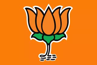 bjp