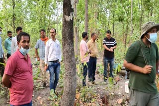 Case of death of tigress in Guru Ghasidas National Park