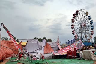 Rain related incidents near vijapur