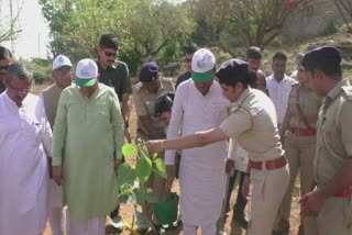 World Environment Day 2022: છોળમાં રણછોળ જોઈશું તો આપણે વૃક્ષોનું જતન કરશું