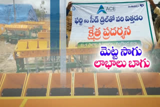 రైతులను లాభాల బాట పట్టిస్తోన్న 'మెట్ట వ్యవసాయం'