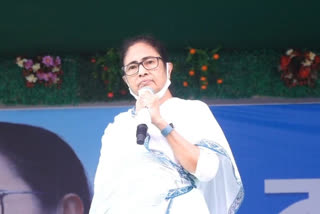 mamata-banerjee-talk-to-deceased-gujarati-couple-daughter-during-her-north-bengal-visit