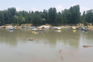 دریائے جہلم میں پانی کی سطح میں گراوٹ، دھان کی فصل متاثر