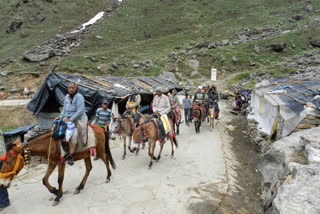 Horse mules die in Chardham Yatra