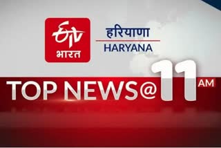 haryana top ten news