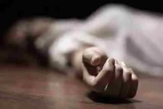 dead body found near adoor kinfra park  unknown dead body found near adoor kinfra park pathanamthitta  crime news from pathanamthitta  dogs attacked dead body in adoor pathanamthitta  അടൂര്‍ കിന്‍ഫ്രാ പാര്‍ക്കിന് സമീപം ദിവസങ്ങള്‍ പഴക്കമുള്ള മൃതദേഹം  അടൂരില്‍ തലയും കൈയും തെരുവുനായ്ക്കൾ കടിച്ചെടുത്ത നിലയില്‍ മൃതദേഹം  അടൂര്‍ കിന്‍ഫ്രാ പാര്‍ക്കിന് സമീപം അജ്ഞാത മൃതദേഹം  അടൂര്‍  പത്തനംതിട്ട  latest kerala news