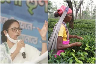 mamata slams bjp