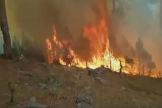 Forest fire breaks out near LoC in J-K's Poonch