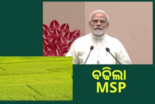 କ୍ବିଣ୍ଟାଲ ପିଛା ୧୦୦ ଟଙ୍କା ବଢିଲା ଧାନର ମୁଲ୍ୟ