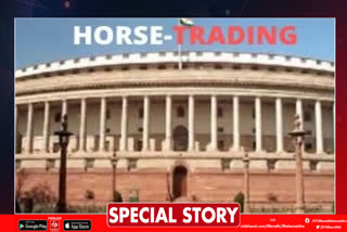 horse trading in politics