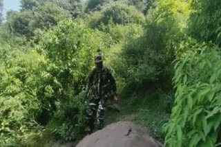 Search operation in Poonch forest areas