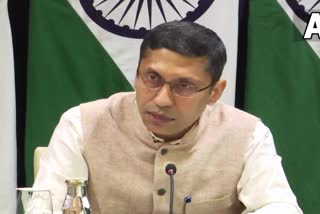 spokesperson , MEA