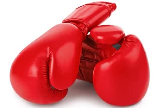 south-african-boxer-who-became-disoriented-in-fight-dies