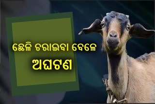 ଛେଳି ଚରାଇବା ସମୟରେ ଅଘଟଣ, ପଥର ସନ୍ଧିରେ ଫସିଲା ନାବାଳକର ମୁଣ୍ଡ