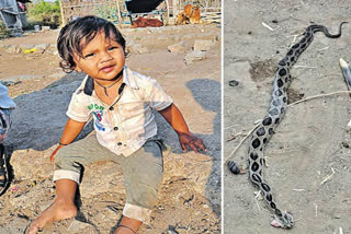 Boy was bitten by a snake