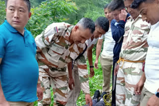 driver with a tourist falls into a river