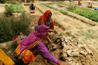 Ghar Ghar Aushadhi Yojana