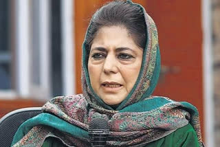 Kashmiri journalist being targeted for telling truth says Mehbooba Mufti