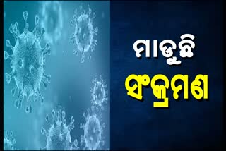 Odisha Corona Report:୨୪ ଘଣ୍ଚାରେ ୨୪ ସଂକ୍ରମିତ ଚିହ୍ନଟ