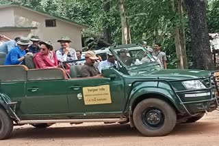 Shivraj At Kanha National Park