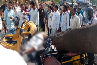 tree fell on a rickshaw in Nashik