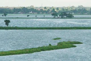 Kolkata Municipal Corporation introduce Geotagging to detect location of water bodies