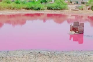 Changed color of lake: તળાવના પાણીનો રંગ બદલાતા ગામ લોકોમાં સર્જાયુ કુતૂહલ