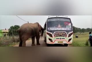 Jhargram elephant