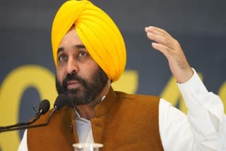 Officers Will Be Sacked On Fake Degrees said cm Bhagwant Mann  Fake degress holders in Punjab is soon to be dismissed  Punjab CM to recruit unemployed youths  അനധികൃത നിയമനങ്ങൾക്കെതിരെ നടപടിക്കൊരുങ്ങി പഞ്ചാബ് സർക്കാർ  അനധികൃത സർക്കാർ നിയമനങ്ങൾക്ക് പൂട്ടിടാൻ പഞ്ചാബ് സർക്കാർ  പഞ്ചാബിൽ വ്യാജ ബിരുദം ഉപയോഗിച്ച് സർക്കാർ ജോലിയിൽ പ്രവേശിച്ചവരെ പിരിച്ചുവിടും  ഭഗവന്ത് മാൻ