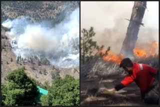 Fire in Chilgoza forest in jangi village