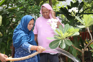 लालू प्रसाद यादव के 75वें जन्मदिन पर राबड़ी देवी ने किया पौधरोपण