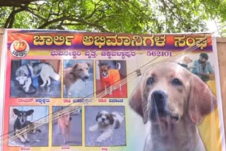 Chikkaballapura Charlie Fans Association Banner photo attracts people