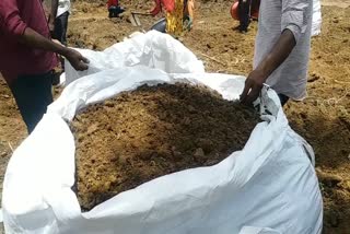 organic farming from cow, cow dung exported from india to kuwait