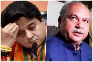 BJP Gwalior Mayor candidate not finalized Jyotiraditya Scindia and Narendra Tomar differences seen