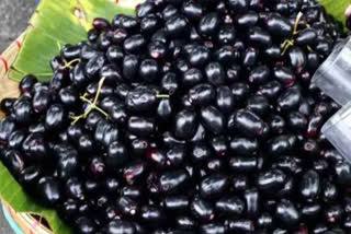 jamun