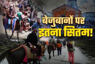 kedarnath