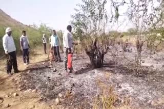 fire in Sariska forest