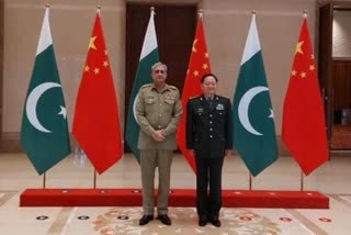China-Pakistan discuss international, regional security situations