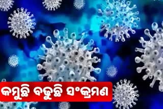 ଦିନକରେ 12 ନୂଆ ସଂକ୍ରମିତ