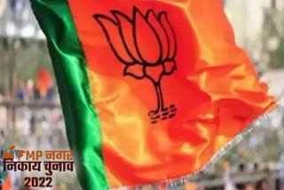 BJP will hold conference to win nikay elections