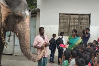 யானை மூலம் ஆசீர்வாதம்.. மாணவர்களை வரவேற்க பள்ளி நிர்வாகம் செய்த சிறப்பான செயல்..