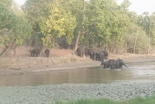 Bandhavgarh Tiger Reserve