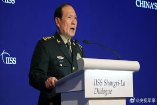 Chinese defence minister Wei Fenghe