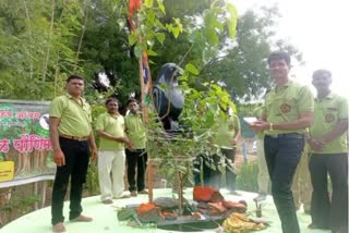 Wife victim men worship Pimpal tree in Aurangabad
