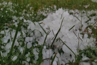 hailstorm-wrecks-havoc-in-rafiabad-baramulla